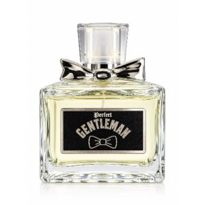 PERFECT GENTLEMAN SILVER EDP 100ML